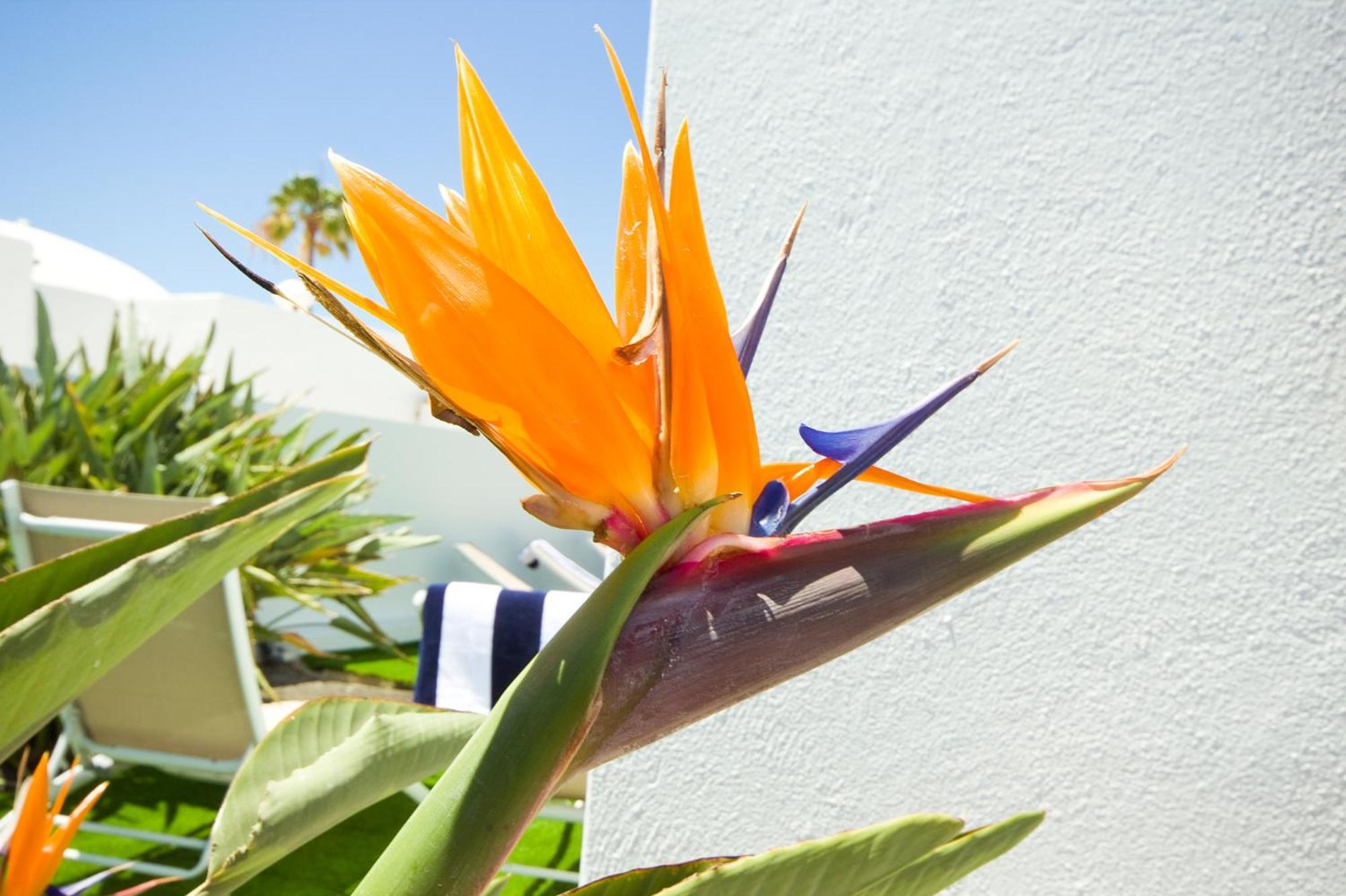 Villa El Golfo - By Az Rentals Puerto del Carmen  Eksteriør billede